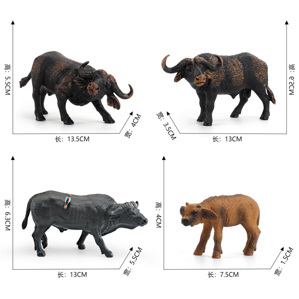 Pvc Solid African Water Buffalo Model With Realistic Design For Childrens Educational Toys
