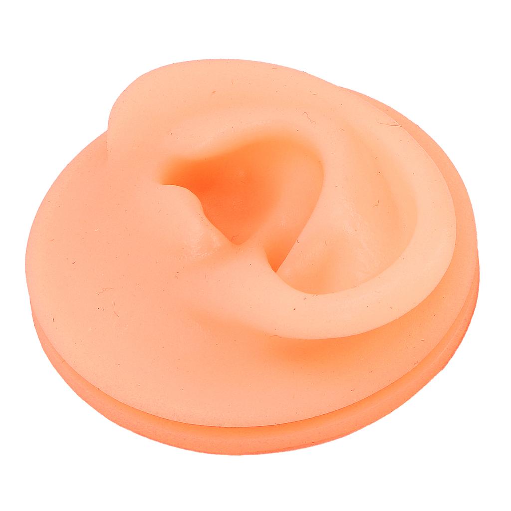 Silicone Ear Acupuncture Practice Model Reusable Simulation Ear Display Model False Ear Model