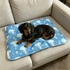 Reusable Pet Cooling Mat Water Fillable Summer Cool Bed Pad for Dogs Cats Sleeping Mat