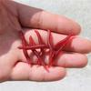 50pcs-200pcs Bream Fishy Smell Tackle Bass EarthWorm Worm Red Baits Bloodworm Fishing Lure
