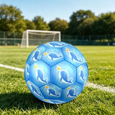 Fußball – Fußbälle