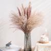 Reed Flower Bouquet Natural Dried Flowers for Home Decoration 55x10cm
