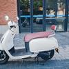 Compatible Backrest with Integrated Bracket for Wuyang-Honda NW F125