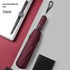 Automatic Ten-Rib Folding Umbrella with Color Handle
