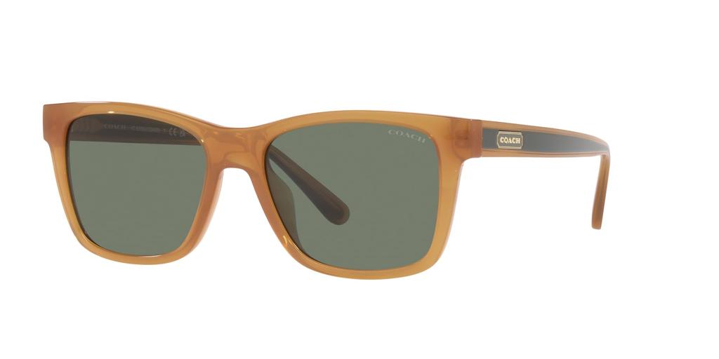 Sunglasses HC8359U CD455 52513H MILKY AMBER 56 [Coach]