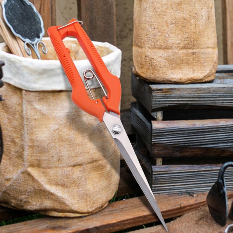 Vegetable Trimming Fruit Pruning Garden Shears Lightweight Flower Scissors For Easy Handling Detailed Plant Maintenance