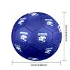AFC Leopards Indoor Soccer Ball Colorful All Ages Size 5 Machine Stitched PVC Competition Ready Durable High-Bounce