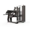 Shuhua SH-G8815 Seated Bicep Tricep Dual Trainer