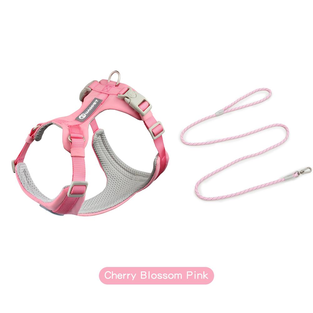 Walking Dog Harnesses Set With Leashes Pet Dog Cat Gifts Vest For Small Medium Large Dogs Rope Set Outdoor Training Pet Supplies