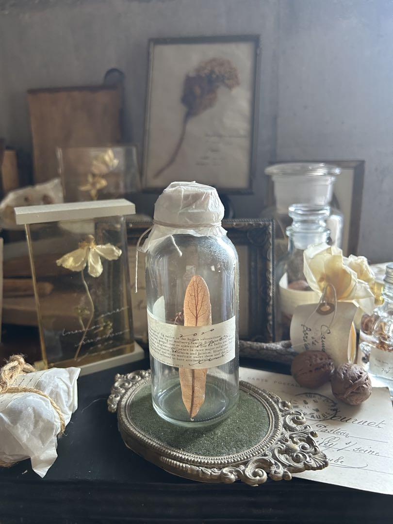 

[USED] errer medicine bottle plant specimen antique brocante antiques