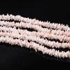 Shell Spacer Beads Natural Freshwater Shell Isolation Beads 6mm For Jewelry Making DIY Necklace Bracelet Earrings Accessory