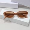 New Korean Cat Eye Triangle Sunglasses: Stylish, Small-Fit for Chic Streetwear