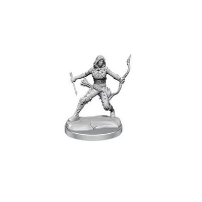 D&D Frameworks Miniature Model Kit (Human Rogue F)