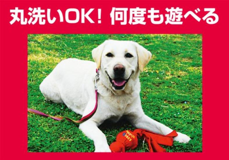 Kong Dog Toy Kong Wava 7 Solutions Using Kong Separation Barking Crate Weight Educational Toy for Dog Training Red (Crunch, Hardness, Anxiety,