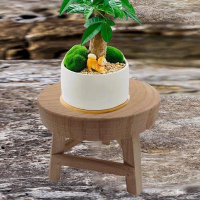 Wooden Stool Plant Stand Round Riser Pedestal Farmhouse Flower Pot Holder for Desktop