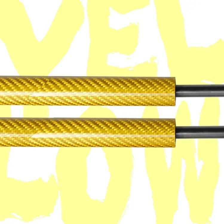 Hood Damper for Nissan GT-R R35 Skyline Coupe 2008- Gas Strut Lift Support Front Bonnet Modify Gas Springs Shock Absorber