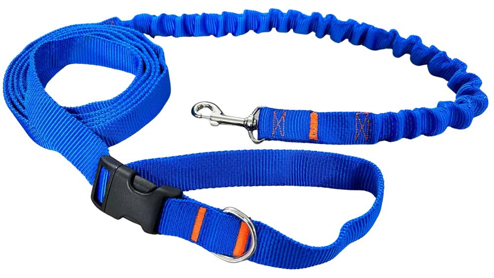 Dog Leash with Shock Absorber 280cm BLUE Adjustable Sports