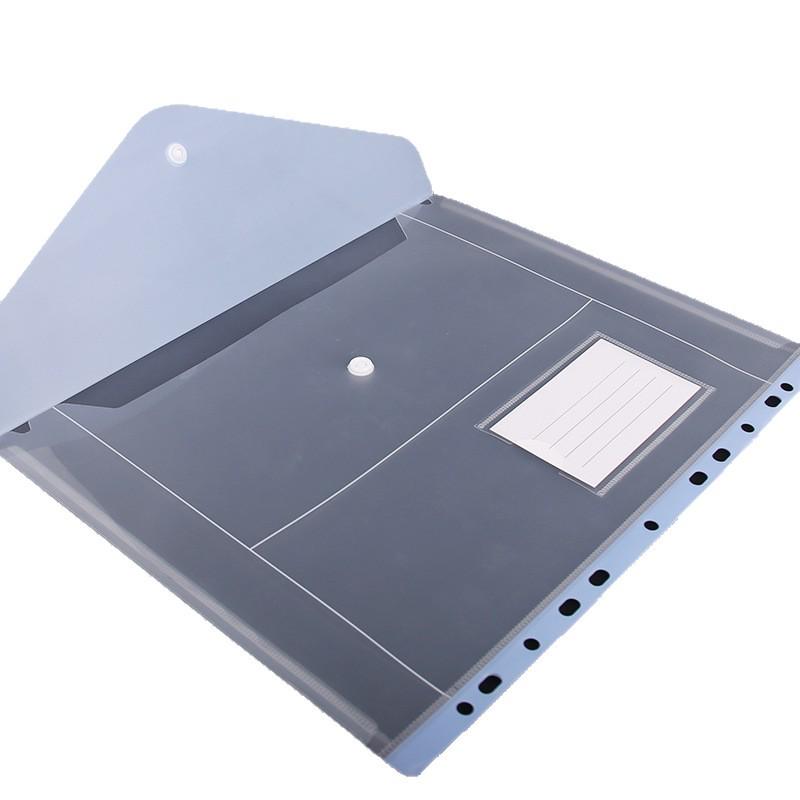 Transparent 11-Hole A4 Binder Pockets with Snap Button - Colored Document and Exam Paper Storage