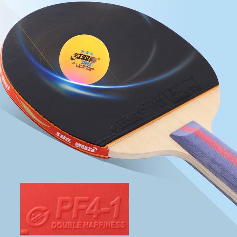 DHS 2-Star Table Tennis Racket