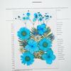 Dried Pressed Flower Handmade Decorative Artificial Flowers Dry Plant Resin Scrapbook Craft DIY Accessories Home