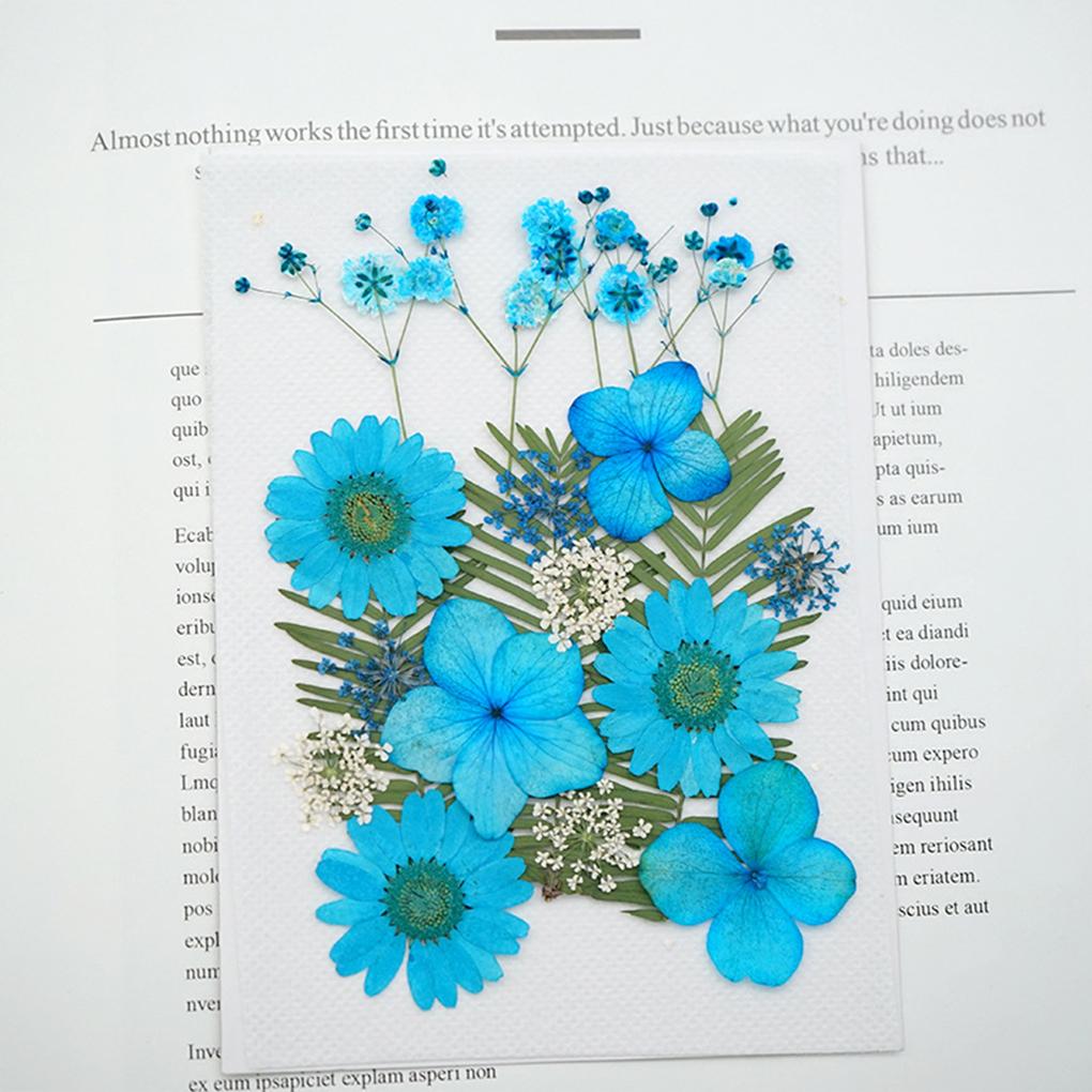 Dried Pressed Flower Handmade Decorative Artificial Flowers Dry Plant Resin Scrapbook Craft DIY Accessories Home