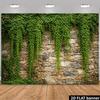 2D Country Garden Stone Wall Climbing Green Ivy Studio Portrait Backdrop