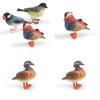 Animal Model Desktop Decor With Plastic Material For Educational Display And Bird Enthusiasts
