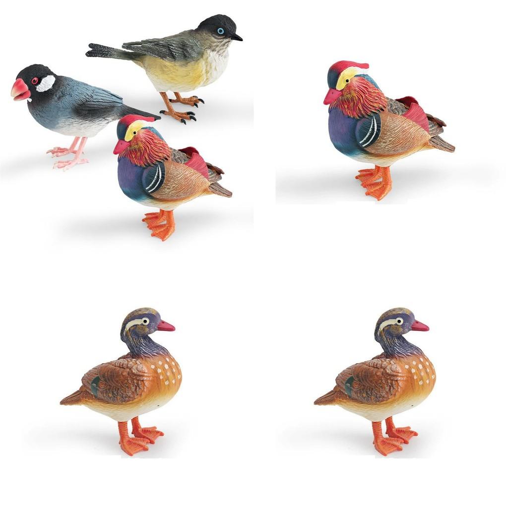 Animal Model Desktop Decor With Plastic Material For Educational Display And Bird Enthusiasts