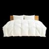 Interlagos Ergonomic 95% White Goose Down Duvet (Japanese Import)