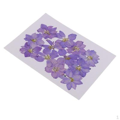 Décoration de la maison – Fleurs et couronnes décoratives