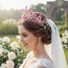 Rhinestone Queen Tiara Flower Shaped Pageant Diadem New Bride Headpiece for Bride