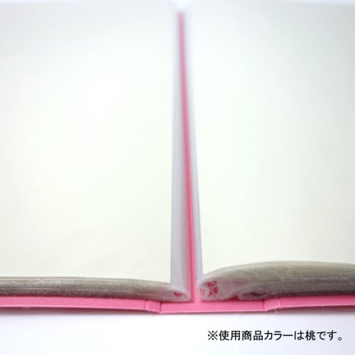 KOKUYO File Clear File POSITY A4 60 Sheets Light Blue P3-L60NLB
