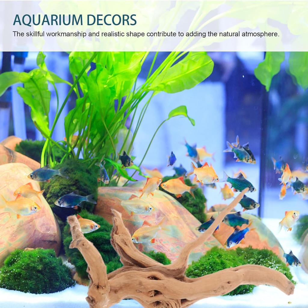 Mipcase 3 Stück Treibholz für Aquarium, Spinnenholz für Aquarium Aquarium Dekorationen Fischbecken Dekorationen Treibholz für Reptilienbecken Dekor