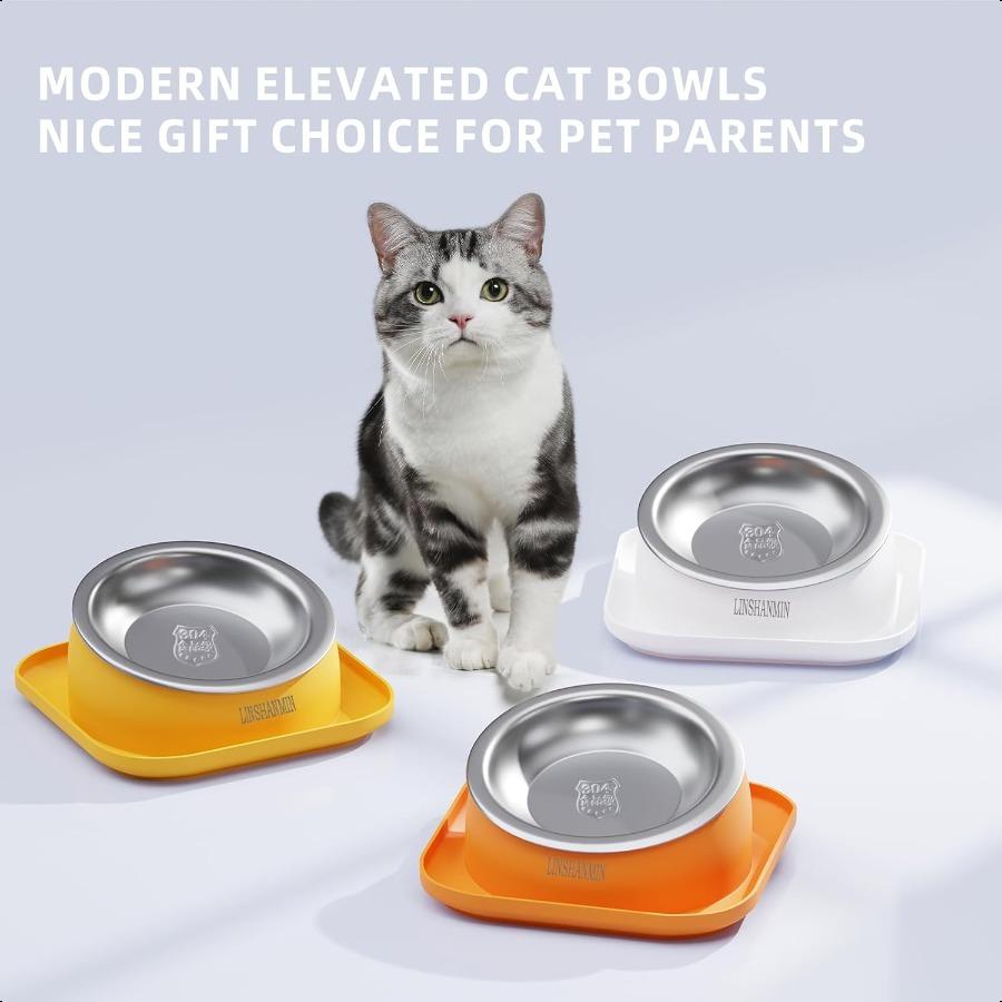 Cat Bowls Elevated Tilted Whisker Friendly Cat Food Bowls for Indoor Cats Shallow Food Dishes Stainl Steel Slanted Flat Plastic