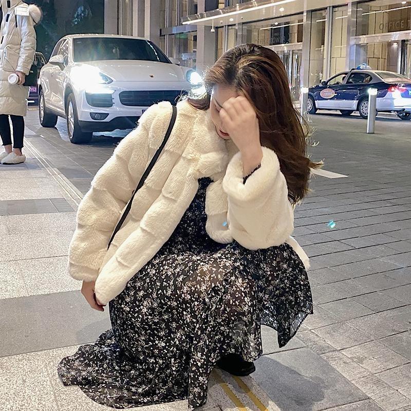 Imitation Mink Fur Women's Short Winter New Hooded Thickened Small Plush Coat Coat