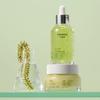 Sea Grape Pore Ampoule + Pore Cream