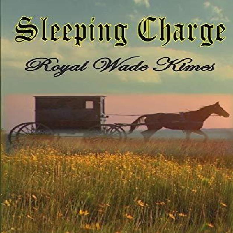 Sleeping Charge by Royal Wade Kimes Paperback Book 9781513632278