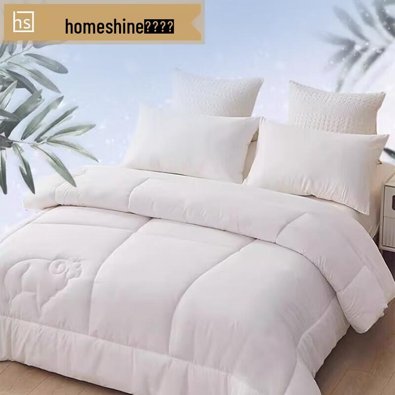 

Homeshine Deep Sleep Wool Quilt