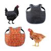 Pack of 2 Waterproof Poultry Garments Durable Cloth for Hens External Defense and Convenience