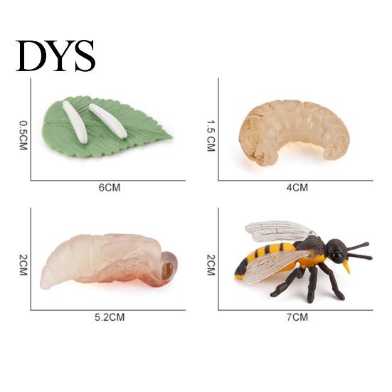 4Pcs/5Pcs Frog Tarantula Butterfly Bee Animal Growth Observation Model Toys