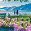 Jardinagem e paisagismo – Decoração de jardim