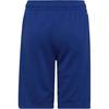 adidas Kids Shorts Moderate HE9334