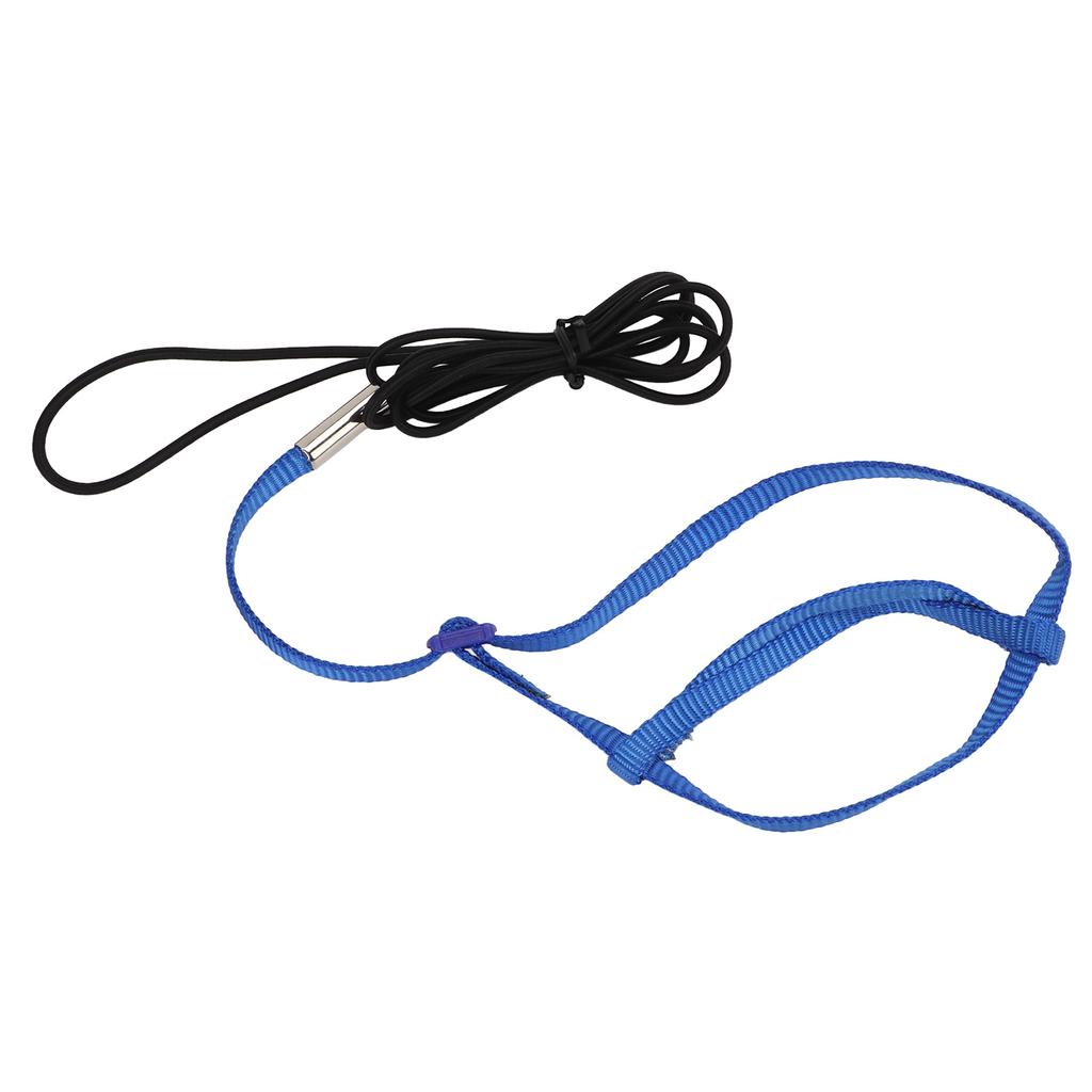 Parrot Harness Leash Adjustable Bird Flying Harness Traction Rope with Hook for Birds Parrots