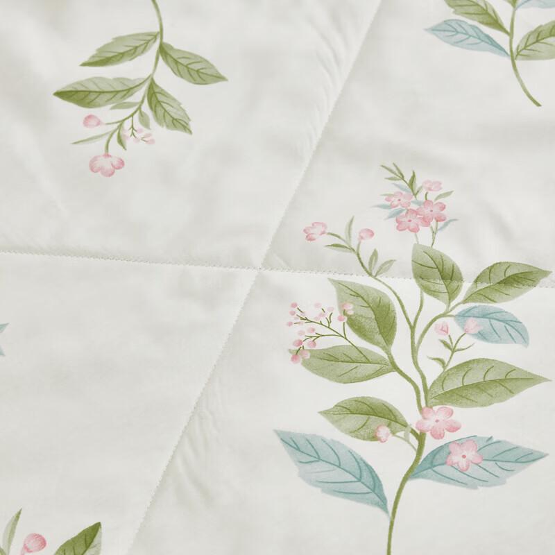 Bigeman Autumn Water Mint Summer Quilt
