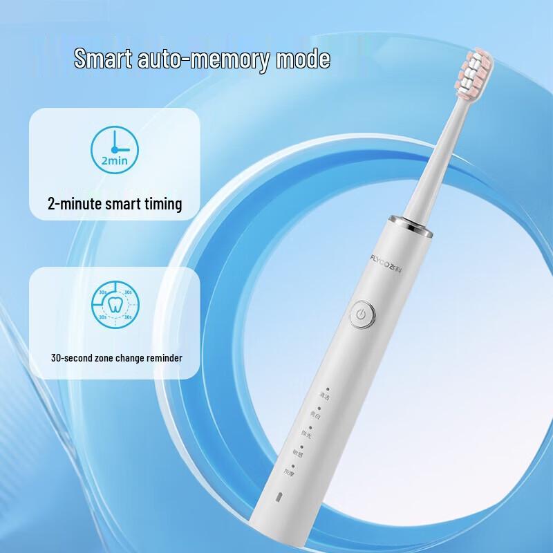 FLYCO Rechargeable Sonic Electric Toothbrush CN Plug (adapter Included)