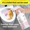 Floral Toilet Cleaner, Decontamination Toilet Cleaner, Deodorizing and Urine Scale Remover, Fragrant Cleaning Liquid, Antibacterial Cleaner