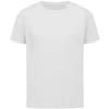 Stedman Childrens/Kids Sports T-Shirt