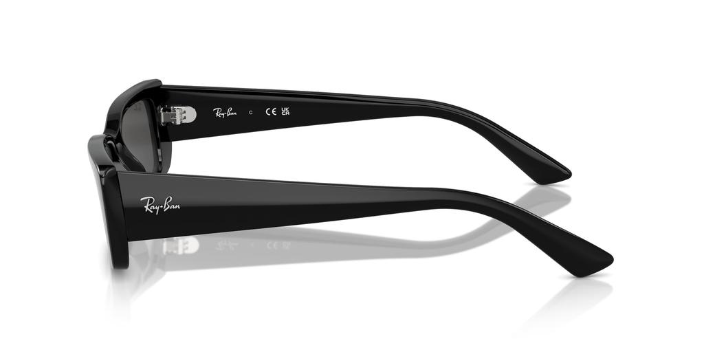 Sonnenbrille RB4425F TERU BLACK 54 Ray-Ban