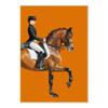 Classic Canvas Painting for Home Decor, Black Horse, Orange Horse, Racing, Wall Art, Riding Woman Pictures, Living Room