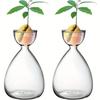 2 Stück Kleine Avocado-Samen-Anzuchtvase, Avocado-Baum-Wachstumskit, Avocado-Glas-Pflanzgefäß-Vase Geschenk für Gartenliebhaber